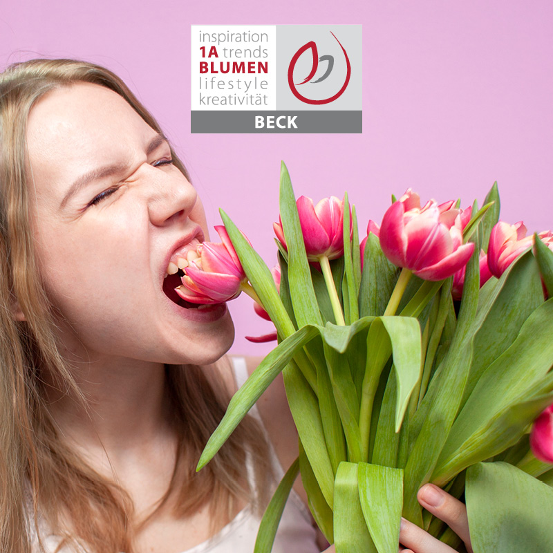 1a-blumen-beck-stellenanzeige
